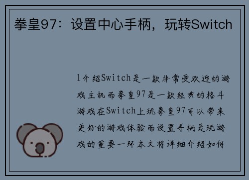 拳皇97：设置中心手柄，玩转Switch